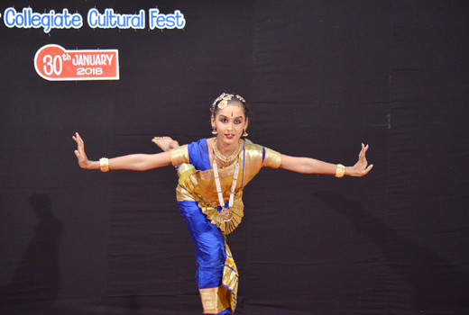 Cultural Fest ...